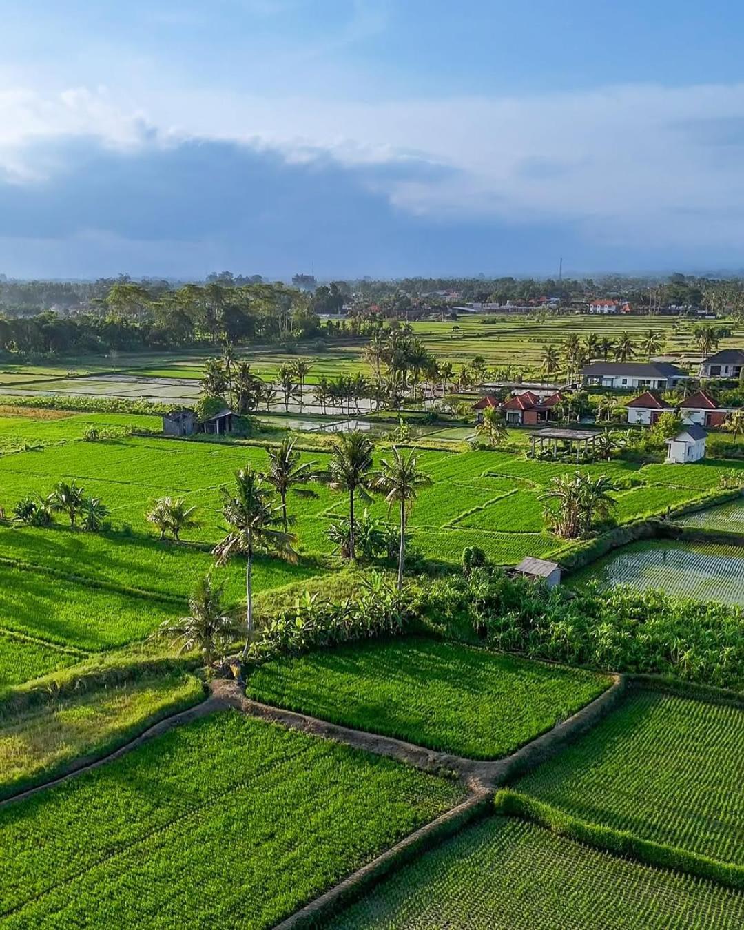 Ikada Villa By Pramana Villas ウブド エクステリア 写真